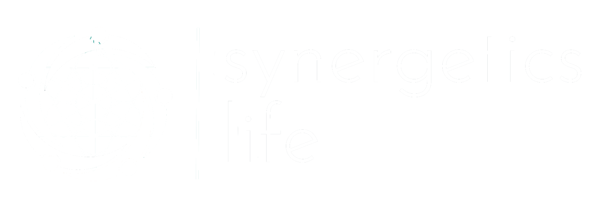 Synergetics Life