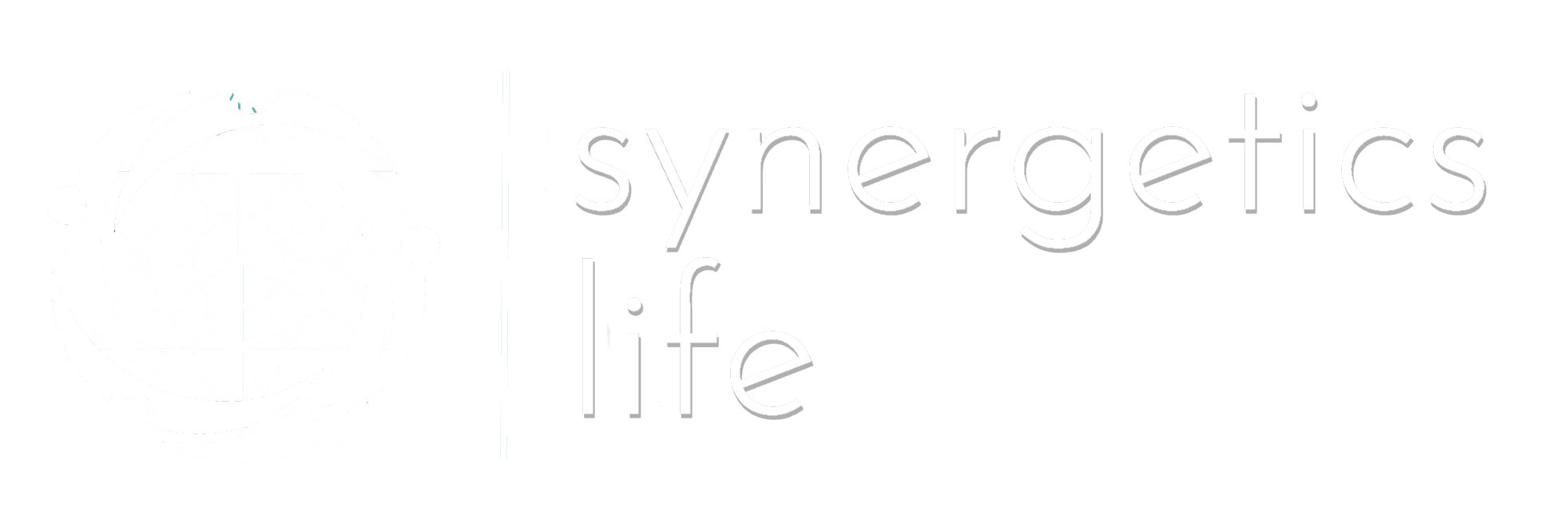 Synergetics Life